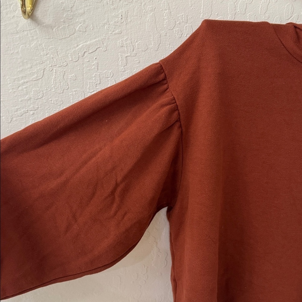 Madewell Auburn Brown Orange Pleated Hoodie Sweater Small - Picture 3 of 6